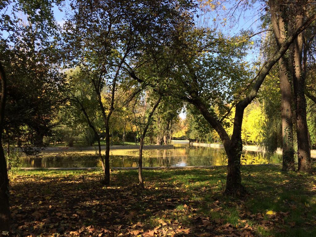 Apartmán Cismigiu Garden Studio Bukurešť Exteriér fotografie